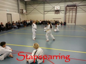 Stapssparring